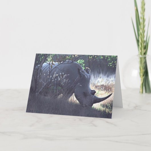 ジョシュアはメッセージカードを調査します カード (正面)