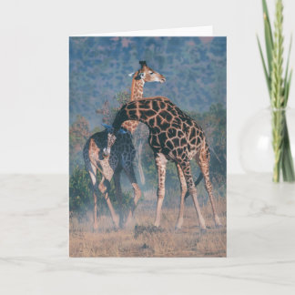 ジョシュアはメッセージカードを調査します カード