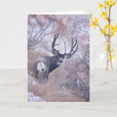 ジョシュアはメッセージカードを調査します カード (黄色い花)