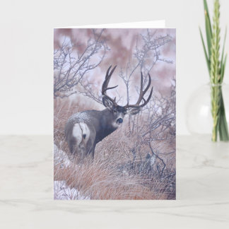 ジョシュアはメッセージカードを調査します カード