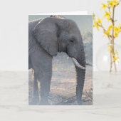 ジョシュアはメッセージカードを調査します カード (黄色い花)