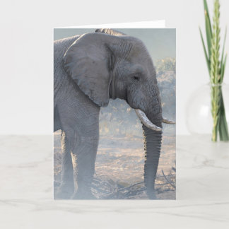 ジョシュアはメッセージカードを調査します カード