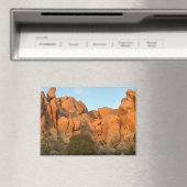 ジョシュアツリーに夕焼けの岩 マグネット (インサイチュ (食洗機))