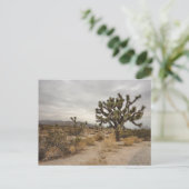 ジョシュアツリーの国立公園の郵便はがき ポストカード (スタンド正面)