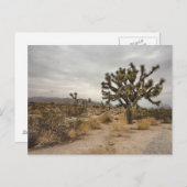 ジョシュアツリーの国立公園の郵便はがき ポストカード (正面/裏面)