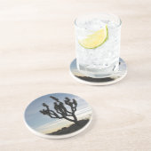 ジョシュアツリーの国立公園 コースター (側面)