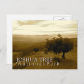 ジョシュアツリーの国立公園 ポストカード (正面/裏面)