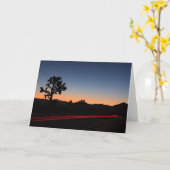 ジョシュアツリーの尾ライト カード (黄色い花)