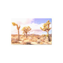 ジョシュアツリーの砂漠風景