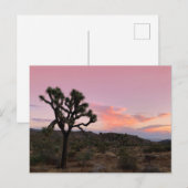 ジョシュアツリーカリフォルニアサンセット ポストカード (正面/裏面)