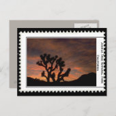 ジョシュアツリーカリフォルニア ポストカード (正面/裏面)