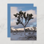 ジョシュアツリースノーモーニング#2 シーズンカード (正面/裏面)