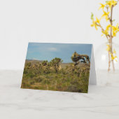 ジョシュアツリーナショナルパークデザートランドスケープ カード (黄色い花)