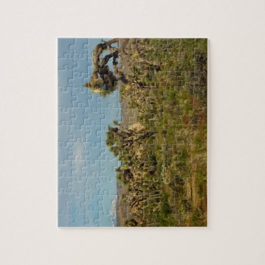 ジョシュアツリーナショナルパークデザートランドスケープ ジグソーパズル (縦)