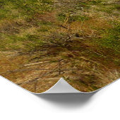 ジョシュアツリーナショナルパークデザートランドスケープ ポスター (角)