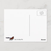 ジョシュアツリーナショナルパークデザートランドスケープ ポストカード (裏面)