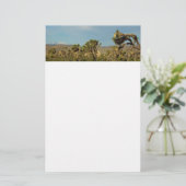 ジョシュアツリーナショナルパークデザートランドスケープ 便箋 (スタンド正面)