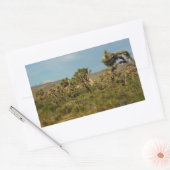 ジョシュアツリーナショナルパークデザートランドスケープ 長方形シール (封筒)