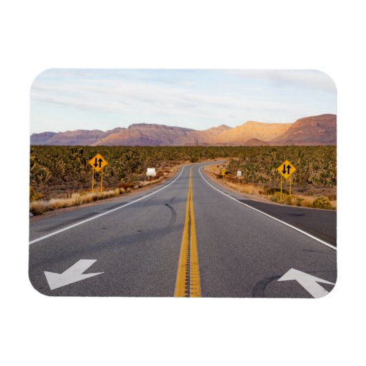 ジョシュアツリー国立公園を通る道路 マグネット (横)