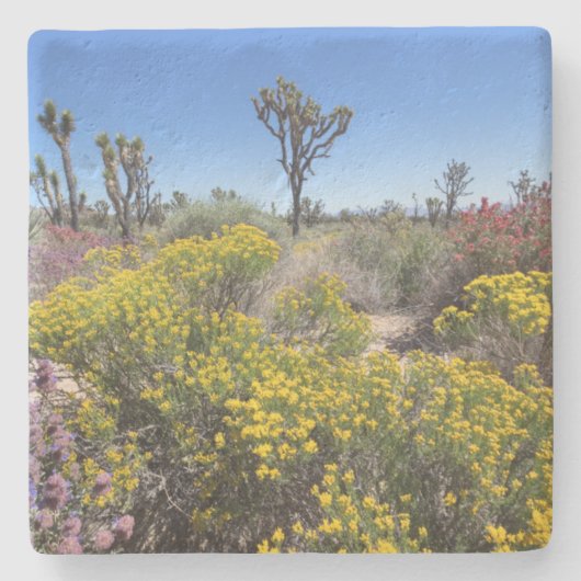 ジョシュアツリー国立公園イン開花 ストーンコースター (正面)