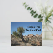 ジョシュアツリー国立公園カリフォルニア旅行USA ポストカード (スタンド正面)