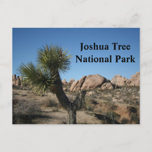 ジョシュアツリー国立公園カリフォルニア旅行USA ポストカード