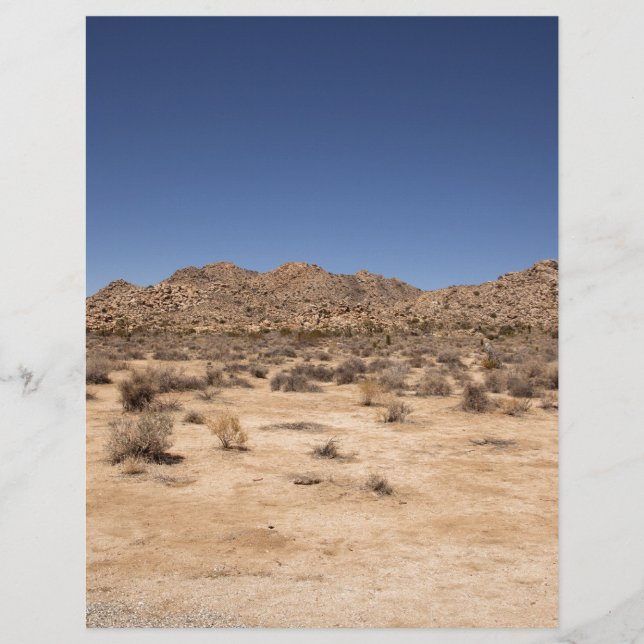 ジョシュアツリー国立公園 (正面)