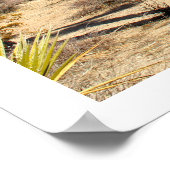 ジョシュアツリー国立公園 ポスター (角)