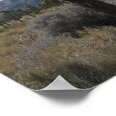 ジョシュアツリー国立公園 ポスター (角)