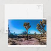 ジョシュアツリー国立公園 ポストカード (正面/裏面)