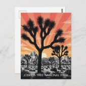 ジョシュアツリー国立公園 ポストカード (正面/裏面)