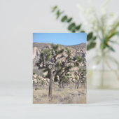 ジョシュアツリー国立公園 ポストカード (スタンド正面)