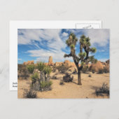 ジョシュアツリー国立公園 ポストカード (正面/裏面)
