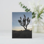 ジョシュアツリー国立公園 ポストカード (スタンド正面)