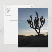 ジョシュアツリー国立公園 ポストカード (正面/裏面)