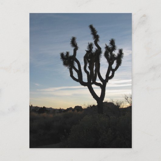 ジョシュアツリー国立公園 ポストカード (正面)