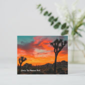 ジョシュアツリー国立公園 ポストカード (スタンド正面)