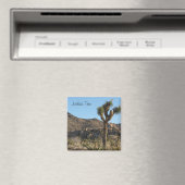 ジョシュアツリー国立公園 マグネット (インサイチュ (食洗機))