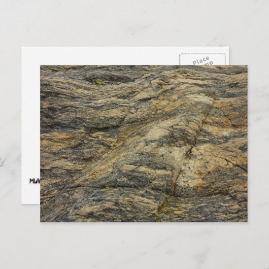 ジョシュアツリー抽象芸術自然撮影からのロック ポストカード (正面/裏面)