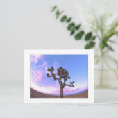 "ジョシュアツリー渦巻" ポストカード (スタンド正面)