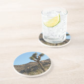 ジョシュアツリー コースター (側面)