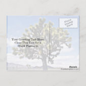 ジョシュアツリー – ジョシュアツリー国立公園 ポストカード (裏面)