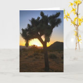 ジョシュア日没#3 greeting card カード (黄色い花)