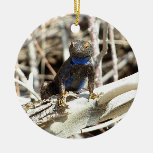 ジョシュア素晴らしツリーでベイスンフェンスリザードホテル セラミックオーナメント (正面)