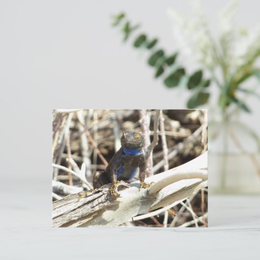 ジョシュア素晴らしツリーでベイスンフェンスリザードホテル ポストカード (スタンド正面)