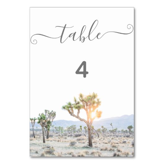 ジョシュア結婚ツリー テーブルナンバー (正面)