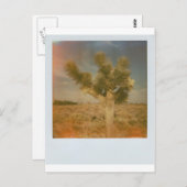 ジョシュア飾ツ ポストカード (正面/裏面)