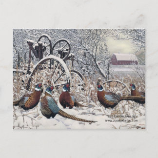 ジョシュア・スピースの「不可触民」 ポストカード