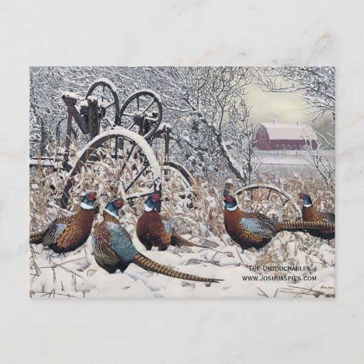 ジョシュア・スピースの「不可触民」 ポストカード (正面)