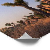 ジョシュア・ツリーのチョラサボテンとキャップロック ポスター (角)